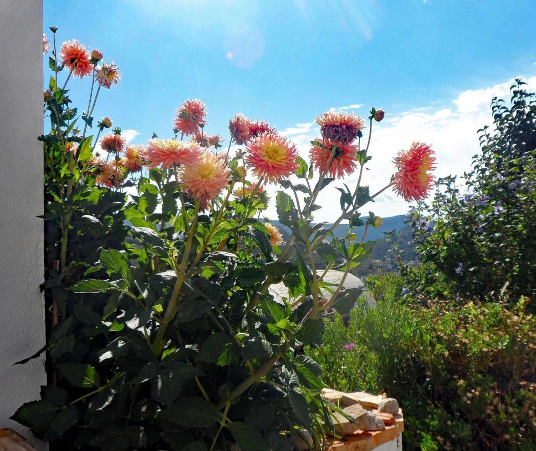 Charming House Ideal For Couples And Young Familie Tárbena Eksteriør bilde